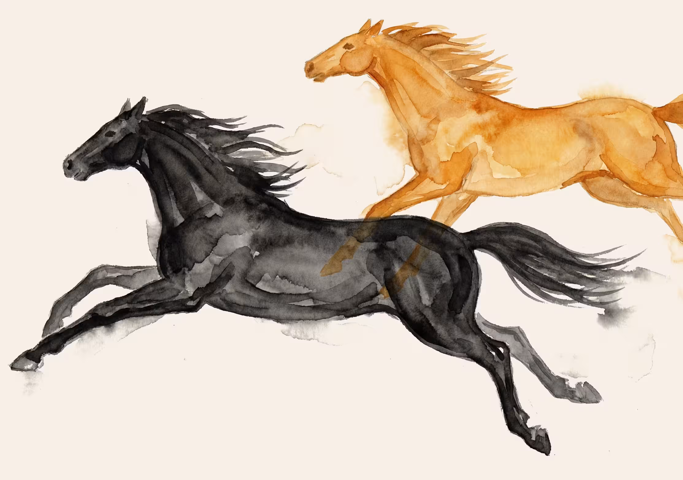galloping horses silhouette